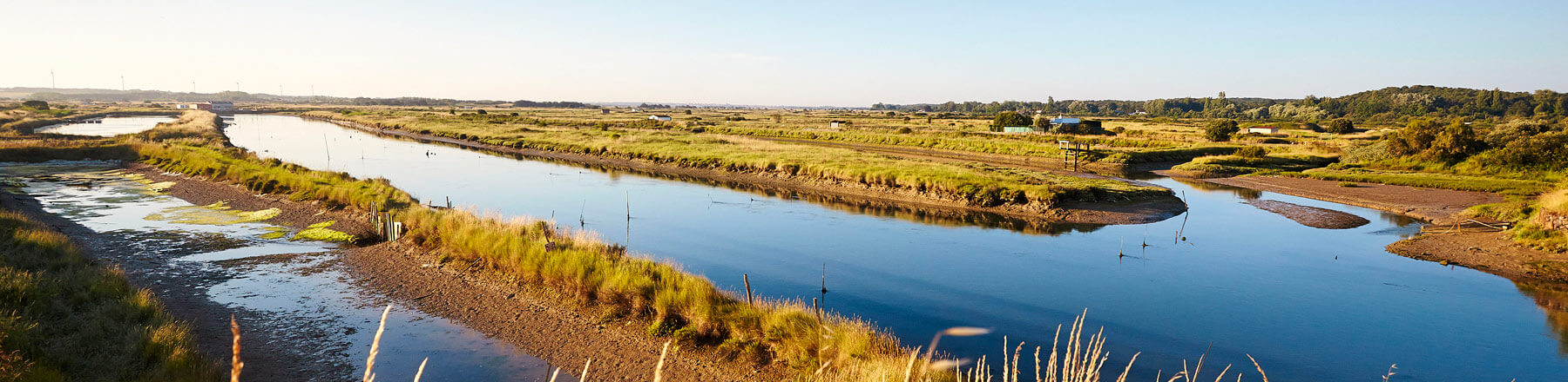 Vue sur les marais de La Gachère à Brem-sur-M